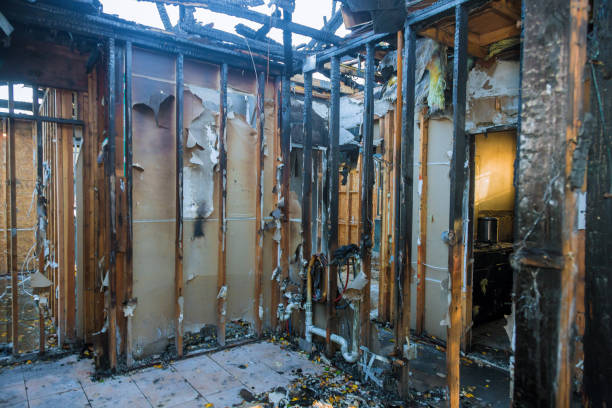 Professional Smoke Damage Removal technician working in Norristown, PA